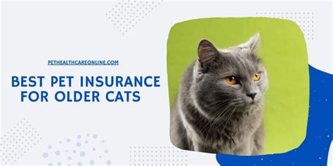 pet insurance for old cats.insfindrq.com.